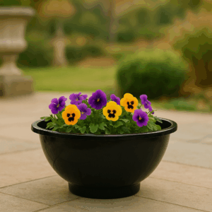 BLOSSOM BOWL