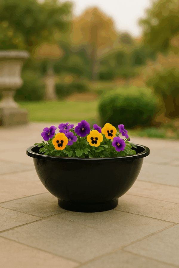 BLOSSOM BOWL