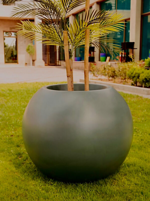 THE GLOBE - Image 2