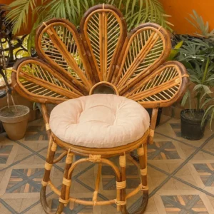 CANE CHAIR